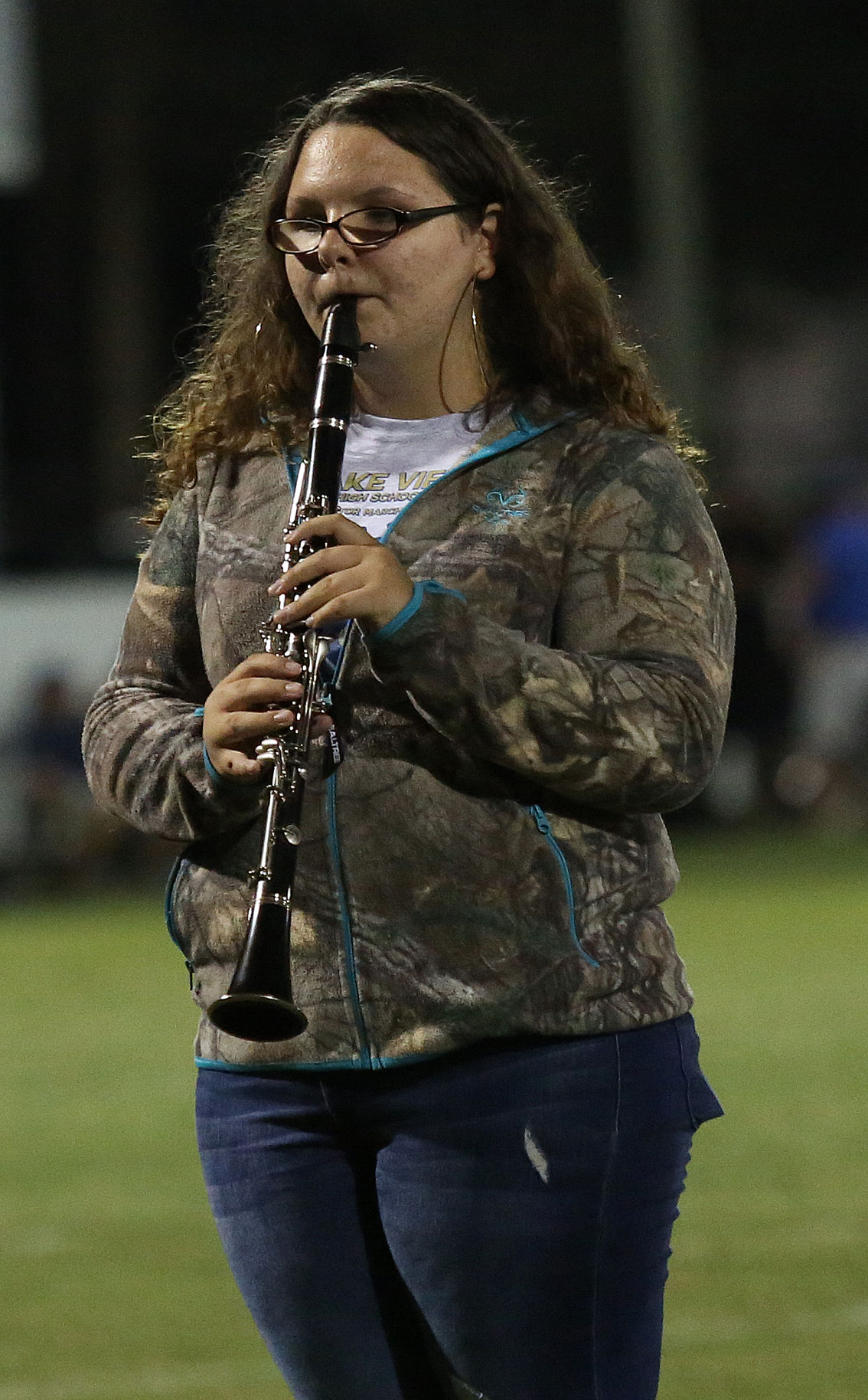 Lake View Band